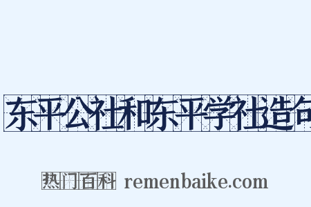 东平公社和东平学社造句是什么意思的图片